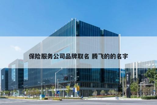 保险服务公司品牌取名 腾飞的的...
