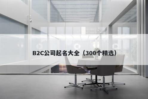 B2C公司起名大全（300个精选）