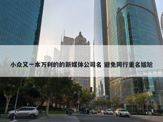 小众又一本万利的的新媒体公司名 避免同行重名尴尬