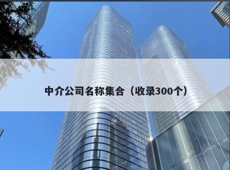 中介公司名称集合（收录300个）