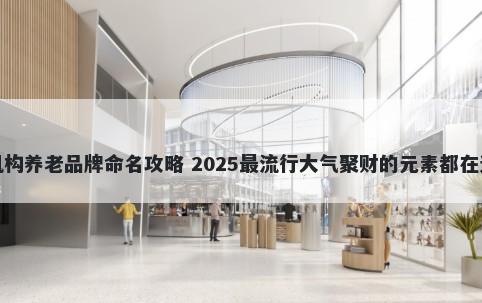 机构养老品牌命名攻略 2025最流...