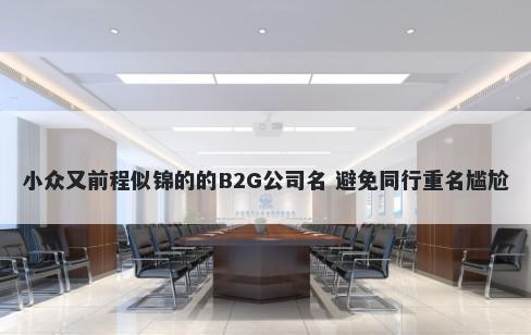 小众又前程似锦的的B2G公司名 避免同行重名尴尬