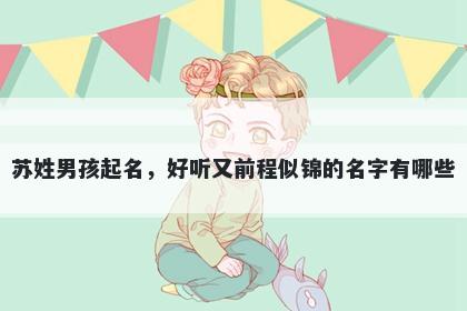 苏姓男孩起名，好听又前程似锦...