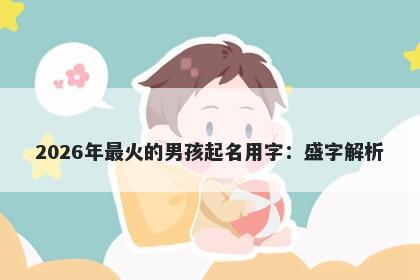 2026年最火的男孩起名用字：盛...