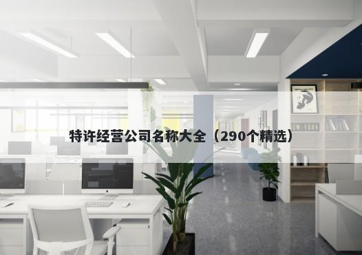特许经营公司名称大全（290个精选）