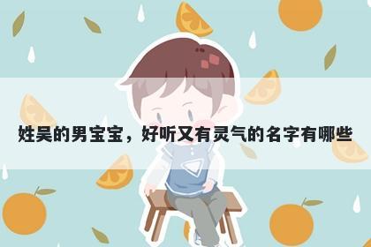 姓吴的男宝宝，好听又有灵气的...