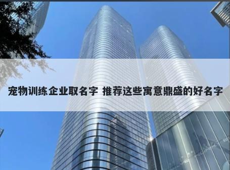 宠物训练企业取名字 推荐这些寓意鼎盛的好名字