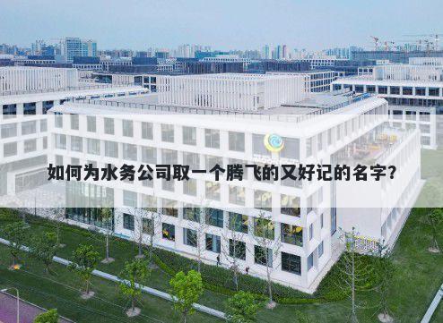 如何为水务公司取一个腾飞的又好记的名字？