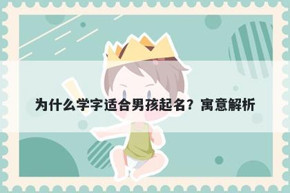 为什么学字适合男孩起名？寓意...
