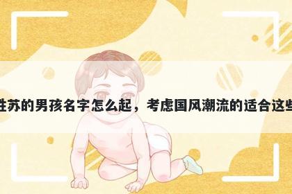 姓苏的男孩名字怎么起，考虑国...