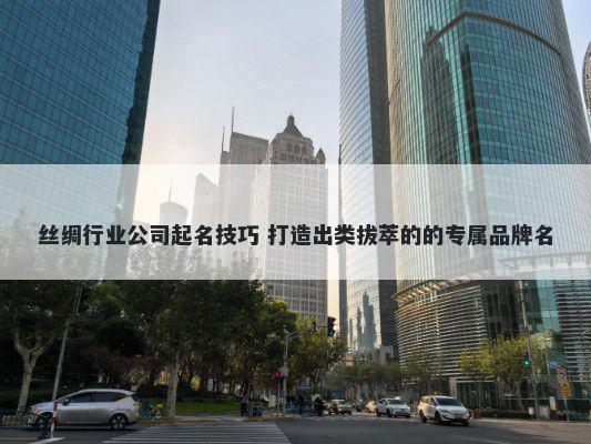 丝绸行业公司起名技巧 打造出类拔萃的的专属品牌名