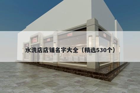 水洗店店铺名字大全（精选530个）