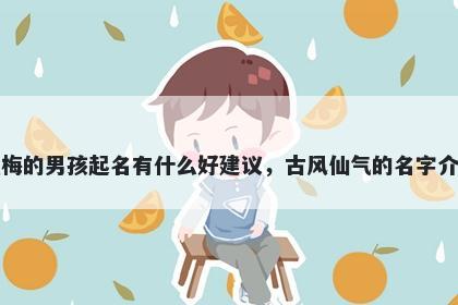 姓梅的男孩起名有什么好建议，...