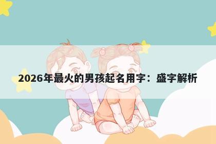 2026年最火的男孩起名用字：盛...