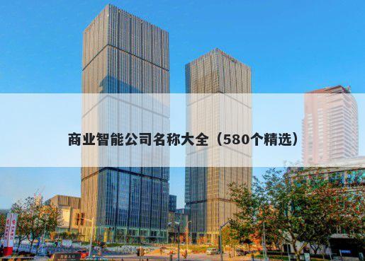 商业智能公司名称大全（580个精选）