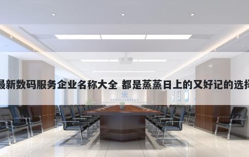 最新数码服务企业名称大全 都是蒸蒸日上的又好记的选择