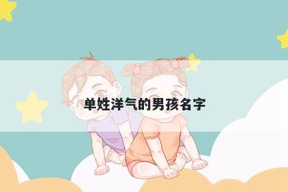 单姓洋气的男孩名字
