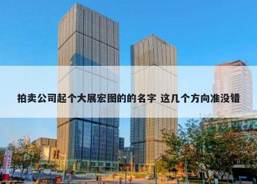 拍卖公司起个大展宏图的的名字 这几个方向准没错