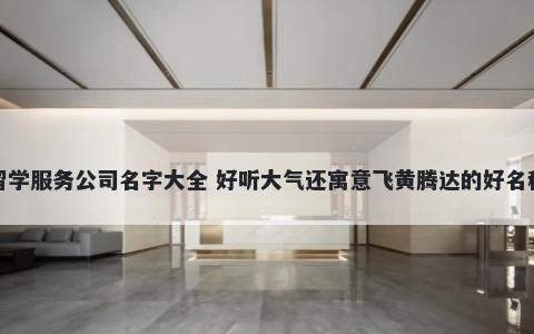 留学服务公司名字大全 好听大气还寓意飞黄腾达的好名称