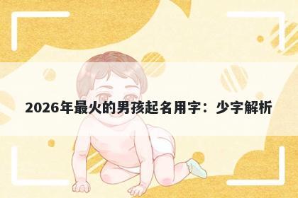 2026年最火的男孩起名用字：少...