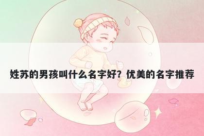 姓苏的男孩叫什么名字好？优美...