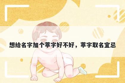 想给名字加个葶字好不好，葶字...