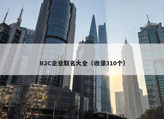 B2C企业取名大全（收录310个）