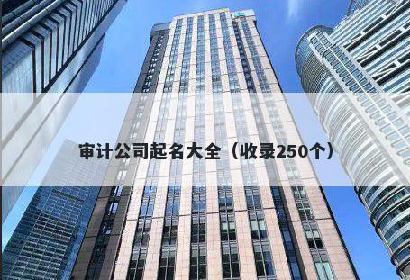 审计公司起名大全（收录250个）
