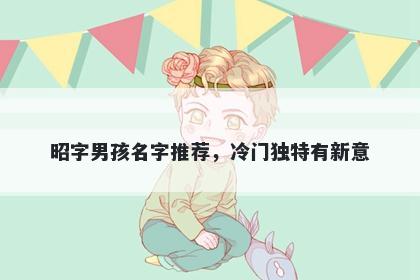 昭字男孩名字推荐，冷门独特有...