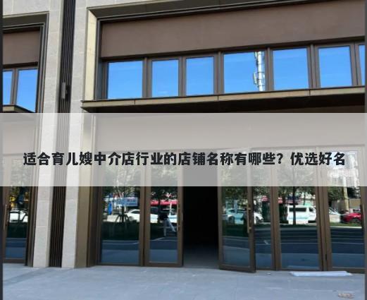 适合育儿嫂中介店行业的店铺名...