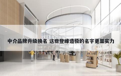 中介品牌升级换名 这些登峰造极的名字更显实力