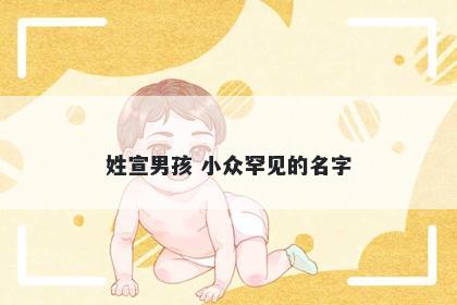 姓宣男孩 小众罕见的名字