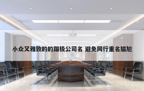 小众又雅致的的蹦极公司名 避免...