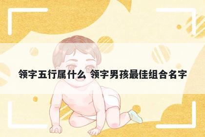 领字五行属什么 领字男孩最佳组...