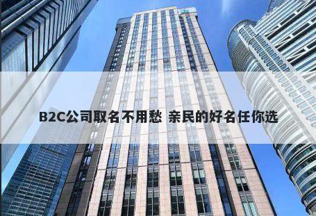 B2C公司取名不用愁 亲民的好名任你选