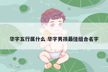 华字五行属什么 华字男孩最佳组...