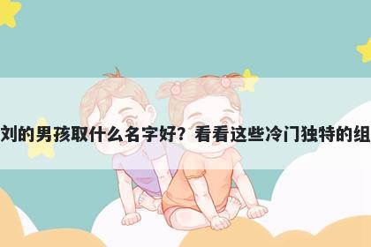 姓刘的男孩取什么名字好？看看...