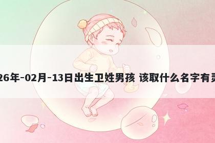 2026年-02月-13日出生卫姓男孩...