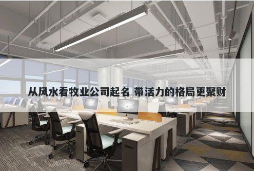 从风水看牧业公司起名 带活力的...