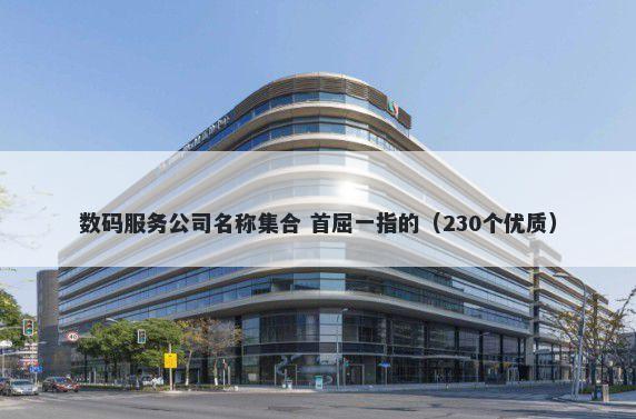 数码服务公司名称集合 首屈一指的（230个优质）