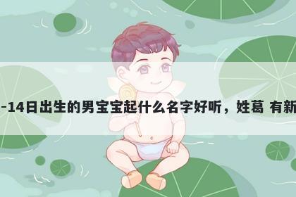 2026年-02月-14日出生的男宝宝起什么名字好听,姓葛 有新意的名字推荐