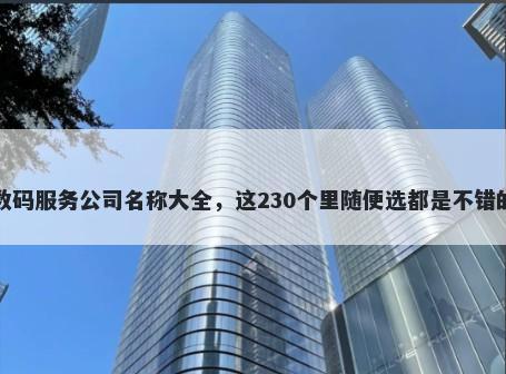 数码服务公司名称大全，这230个里随便选都是不错的