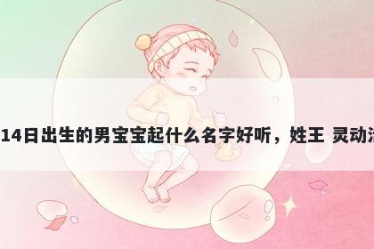 2026年-02月-14日出生的男宝宝...