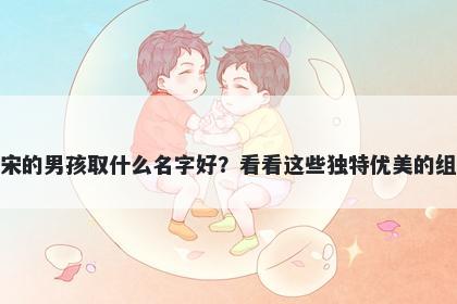 姓宋的男孩取什么名字好？看看...