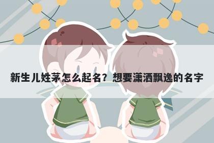 新生儿姓茅怎么起名？想要潇洒...
