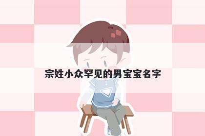 宗姓小众罕见的男宝宝名字