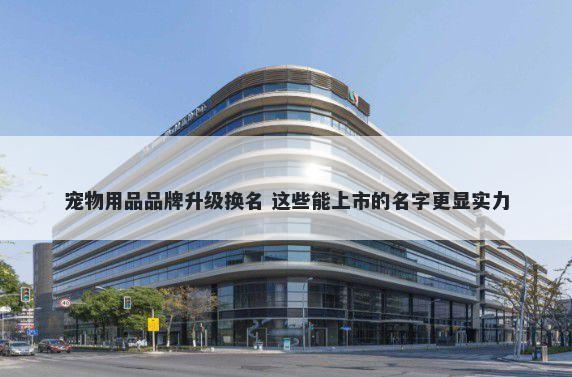 宠物用品品牌升级换名 这些能上...