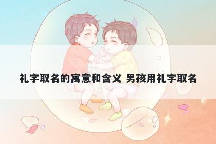 礼字取名的寓意和含义 男孩用礼...