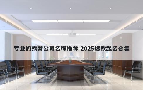 专业的露营公司名称推荐 2025爆...