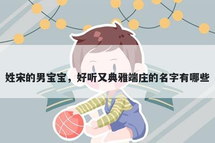 姓宋的男宝宝，好听又典雅端庄...